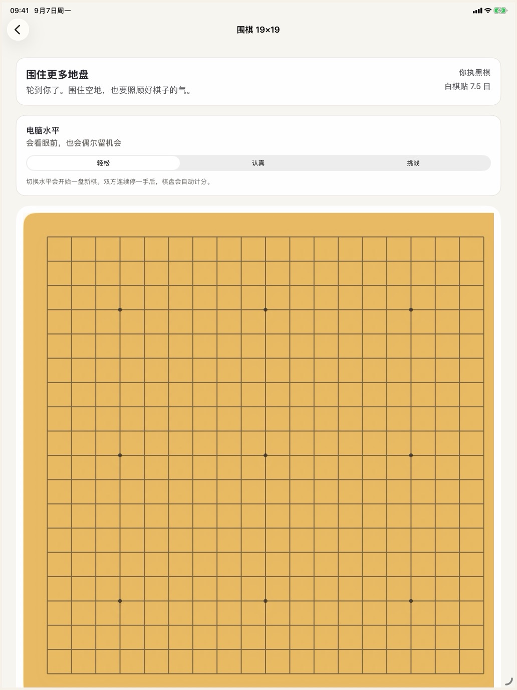 iPad 上的 19 路围棋，棋盘和电脑水平并排